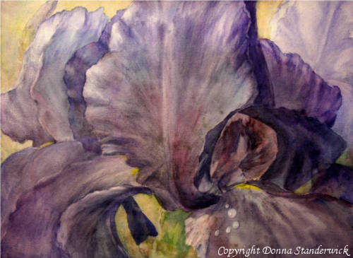 Purple Paraders, watercolor painting, purple iris